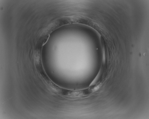 X0000070230129200605301505