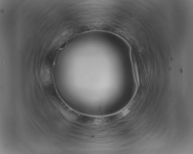 X0000070230130200605301505