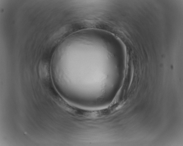 X0000070230131200605301505