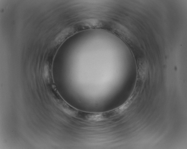 X0000070230132200605301505