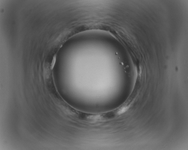 X0000070230133200605301505