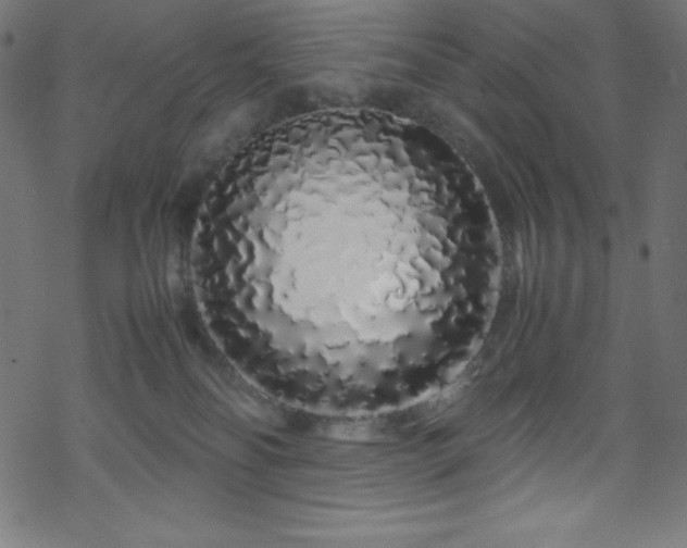 X0000070230134200605301505