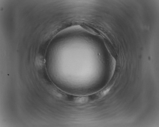 X0000070230135200605301505