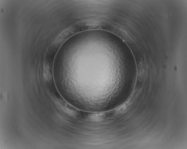 X0000070230136200605301505