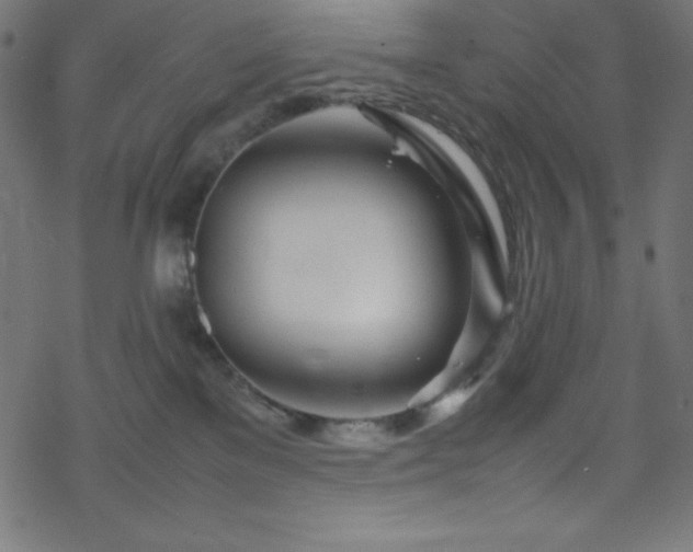 X0000070230137200605301505