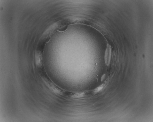 X0000070230138200605301505