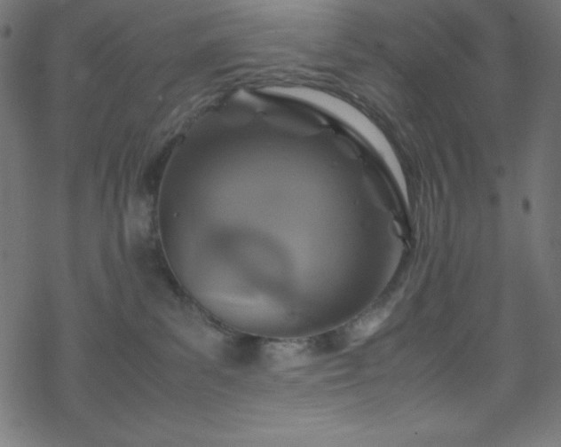 X0000070230139200605301505