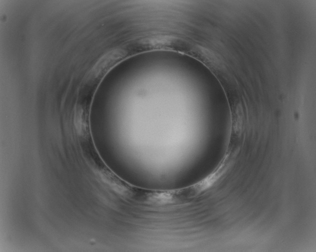 X0000070230140200605301505