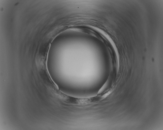 X0000070230141200605301505