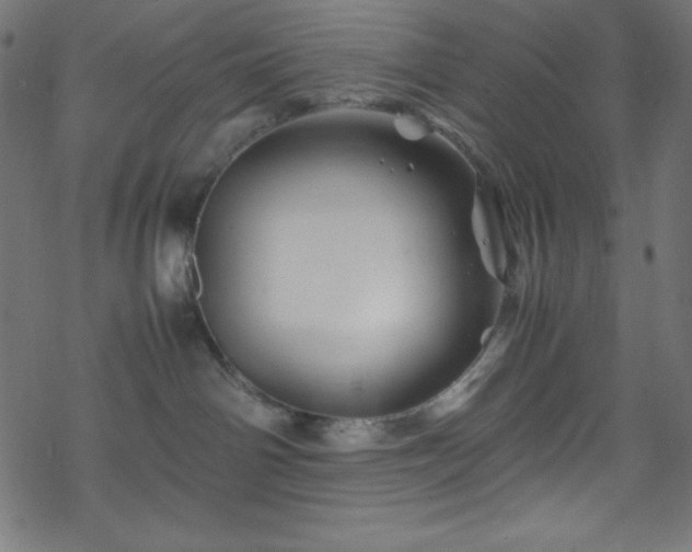 X0000070230142200605301505