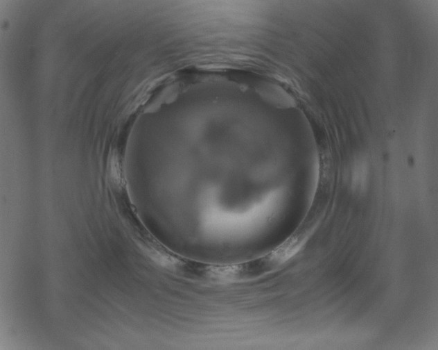 X0000070230143200605301505