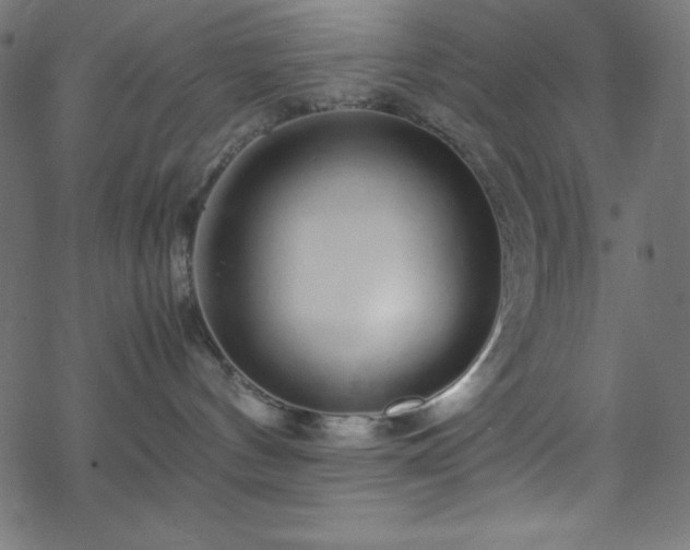 X0000070230144200605301505