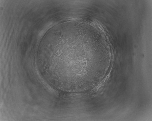 X0000070230145200605301504