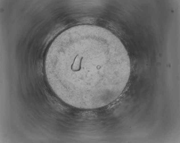 X0000070230146200605301504