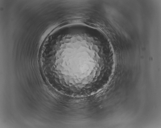 X0000070230147200605301504