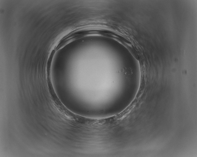 X0000070230148200605301504