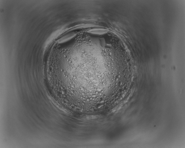 X0000070230149200605301504