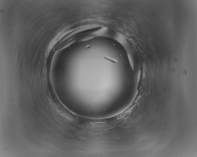 X0000070230150200605301504