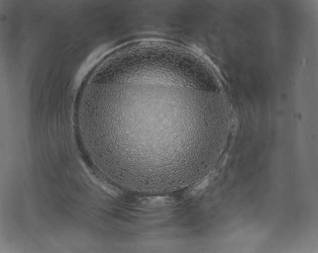 X0000070230151200605301504