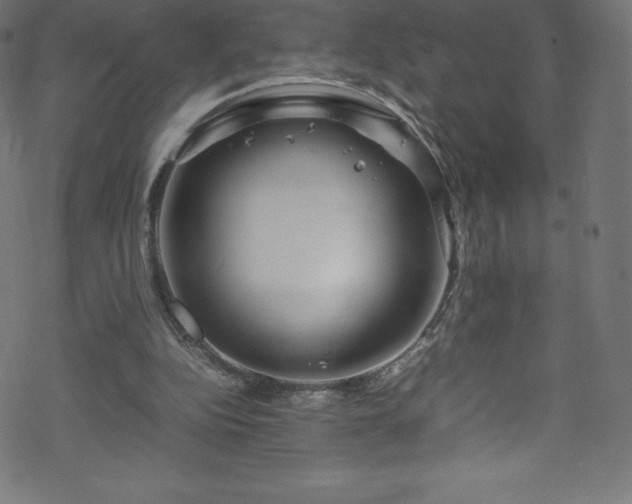 X0000070230152200605301504