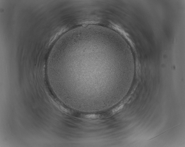 X0000070230153200605301504