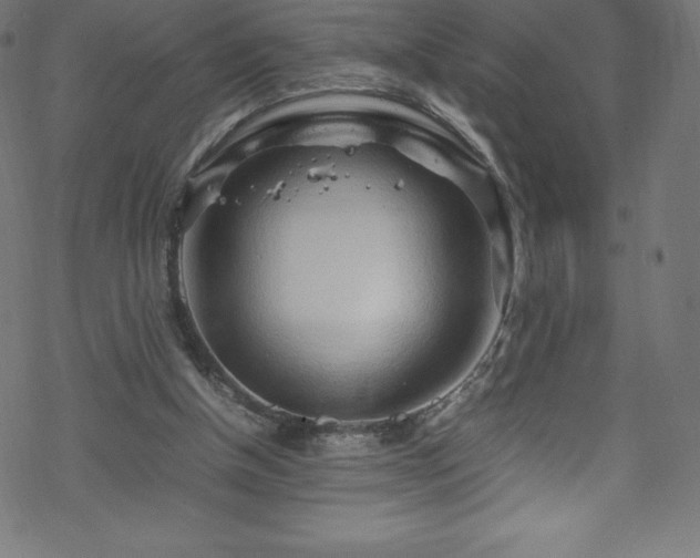 X0000070230154200605301504