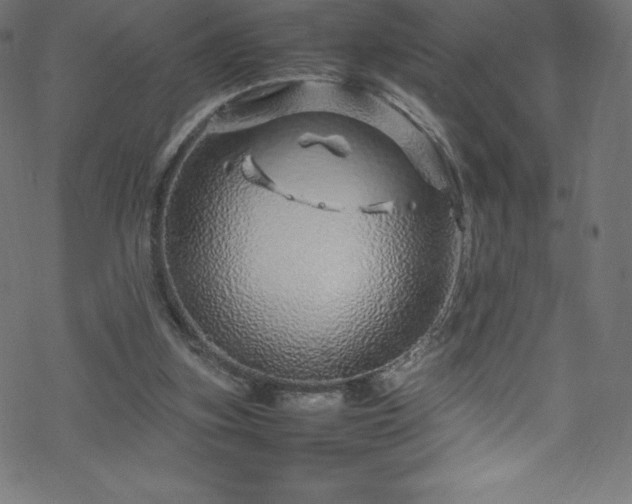 X0000070230155200605301504