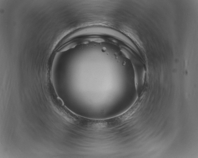 X0000070230156200605301504