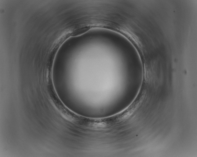 X0000070230157200605301504