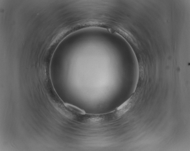 X0000070230158200605301504