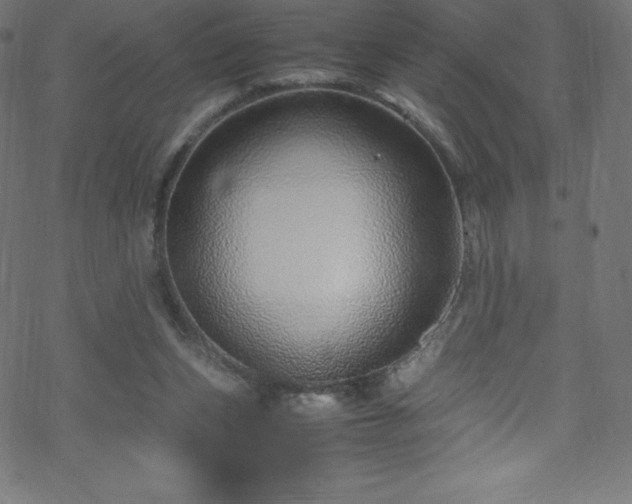 X0000070230159200605301504