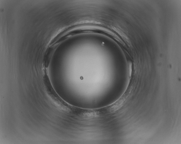 X0000070230160200605301504