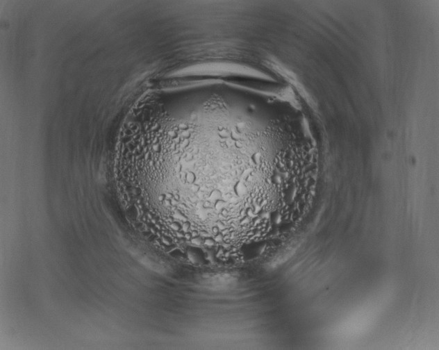 X0000070230161200605301504