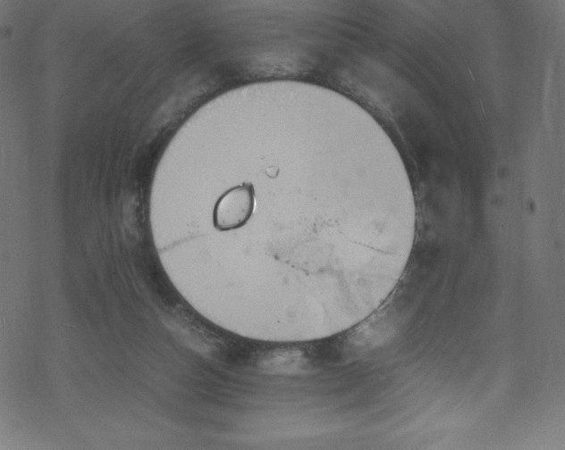 X0000070230162200605301504