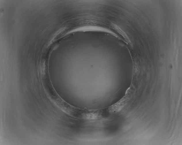 X0000070230163200605301504