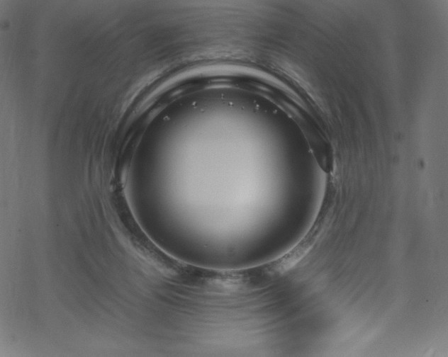 X0000070230164200605301504