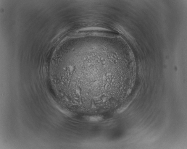 X0000070230165200605301504