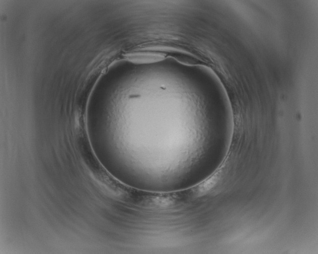 X0000070230166200605301504