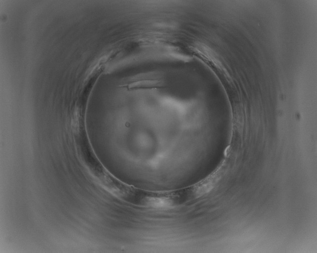 X0000070230167200605301504