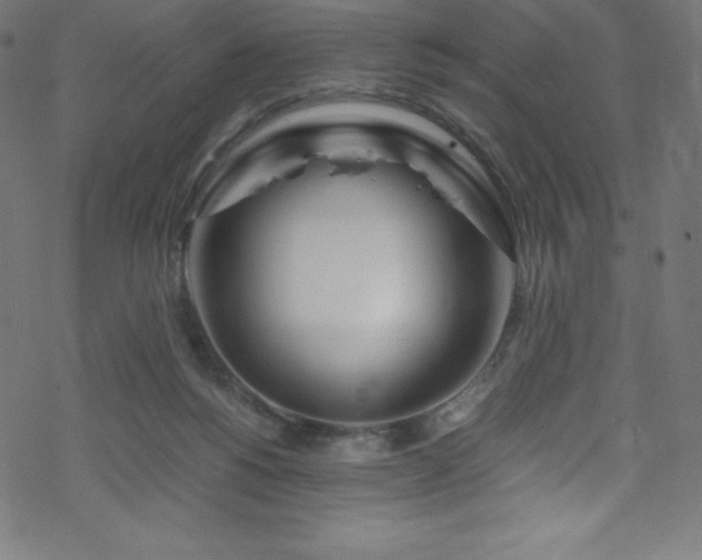 X0000070230168200605301504