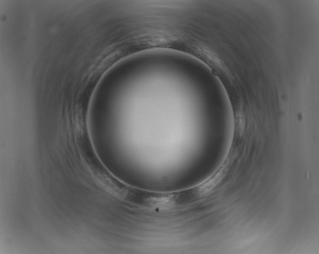 X0000070230170200605301504