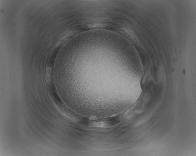 X0000070230171200605301504