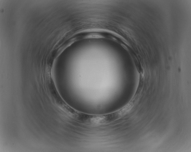 X0000070230172200605301504