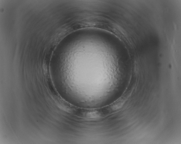 X0000070230173200605301504