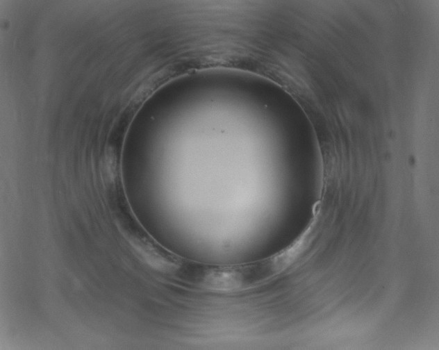 X0000070230174200605301504