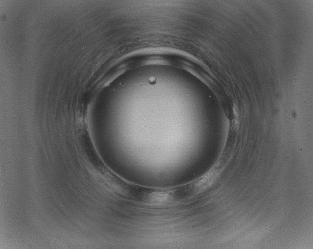 X0000070230176200605301504