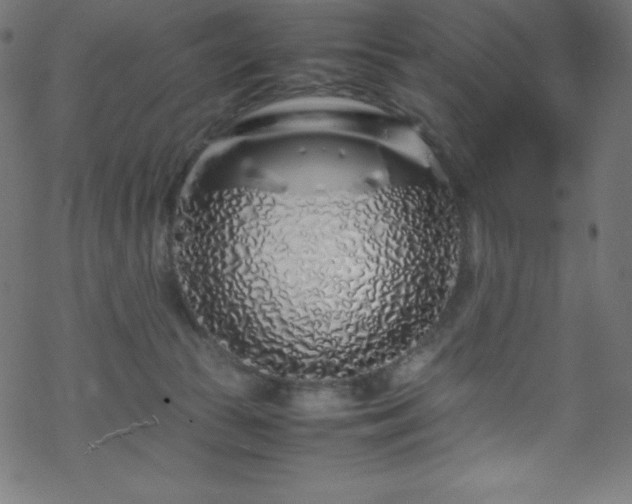 X0000070230177200605301504