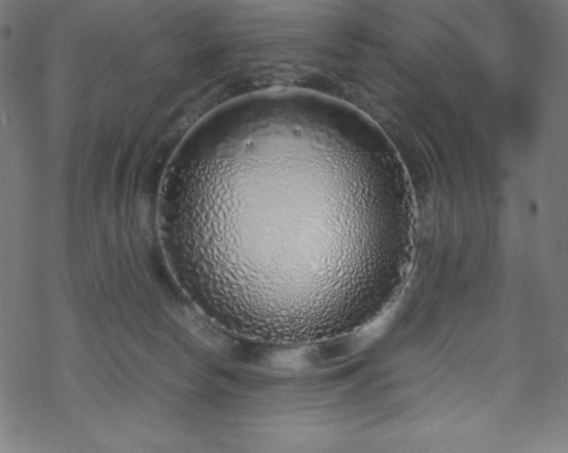 X0000070230178200605301504