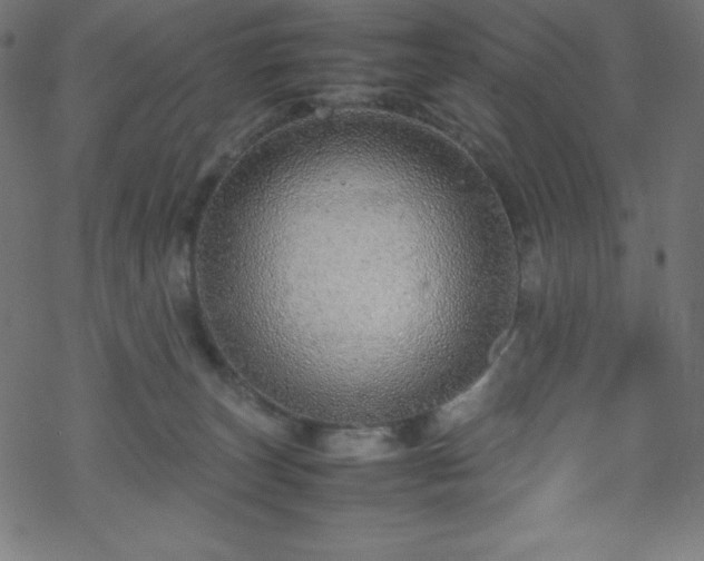 X0000070230179200605301505