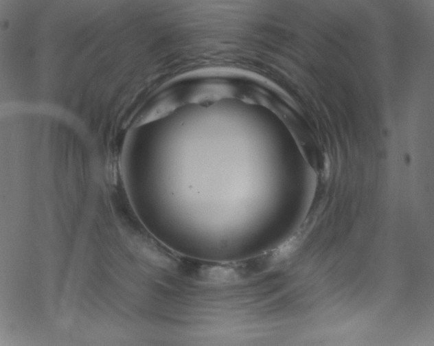 X0000070230180200605301505